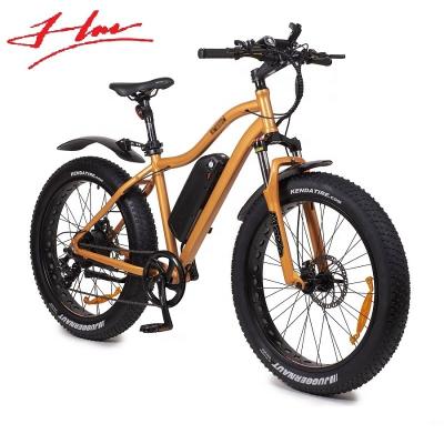 China Hot Selling 2021 Newest Fat E-bike in Europe Standard for sale