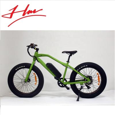 China Standard 24 inch big E-bikes popular in Europe for sale