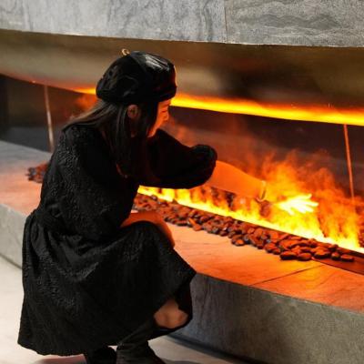 China Can Touch Flame Voice Mist Electric Fireplace Directly Flame Insert Luxury Decor Fireplace Steam Water 3d Control for sale