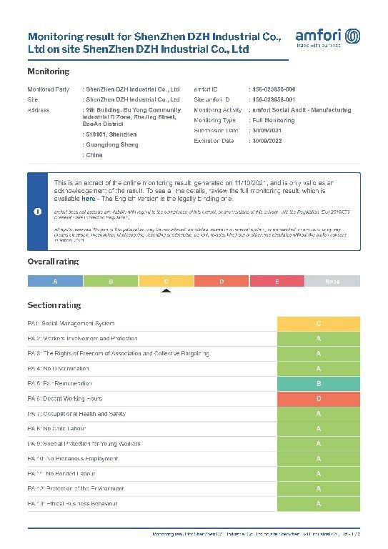 BSCI - Shenzhen DZH Industrial Co., LTD