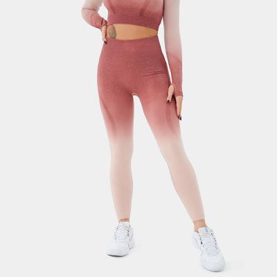 China OEM Logo Gym Workout Pants Women Fit Waisted Tummy Control Breathable Slim High Gradient Effect Full Length Yoga Gaiters for sale