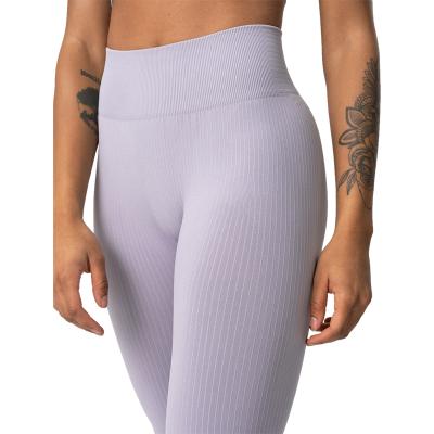 China Factory Wholesale Custom Logo Woman Fitness Workout Yoga Breathable Ribbed Pants Popular Plus Size High Waist Purple Seamless Leggings for sale