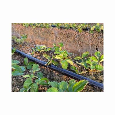 China Agriculture Rain Hose Irrigation Rain Pipe Irrigation Prices PE Rain Water Black Plastic Water Hose for sale