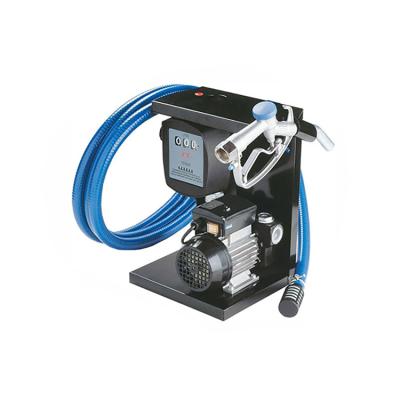 China Automotive Industry Blue Self Priming Diesel Fuel Transfer Vane Type Pump Kitv Oil Pump 12v With Digital Flow Meter for sale