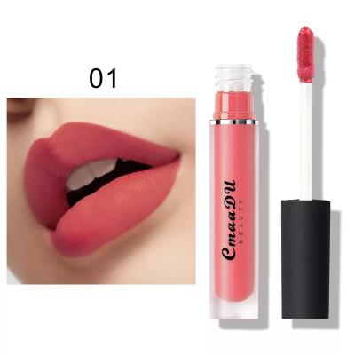 China Waterproof Accept Small Orders Custom Waterproof 15 Color CmaaDU Matte Lipstick for sale