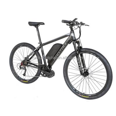 China Mid Drive Aluminum Alloy Mountain Bike 350W 10Ah e Bike Electric Dirt Bike 48v for sale