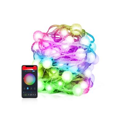 China String Tuya Light Smart Life LED String Lights Led Christmas Lights For Stringing USB String Light for sale