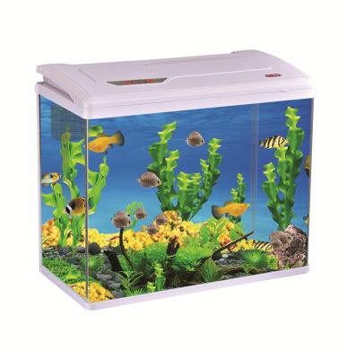 China Wholesale Viable Mini Portable Fish Tank Aquarium for sale