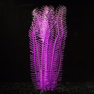 China Aquarium Viable Aquatic Plants Personalized Aquarium Decorations for sale