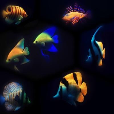 China Viable Fluorescence Fish Artificial Swimming Aquarium for sale