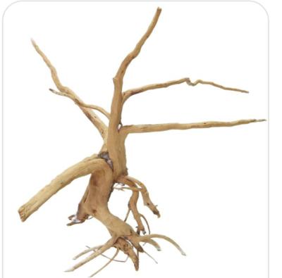 China High Quality Sustainable Thin Wood Natural Aquarium Driftwood for sale