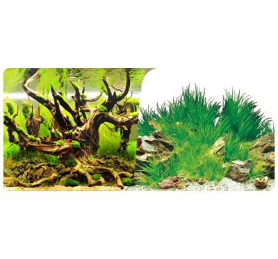 China Viable single side double side fish tank imitation nature aquarium decorative background for sale