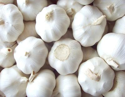 China Good quality fresh Chinese fresh garlic on hot sales 4.5cm 5.0cm 5.5cm 6.0cm for sale