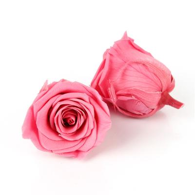 China AAA Grade 100 Colors 4-5cm Real Touch Eternal Roses For Party Wedding Decoration for sale