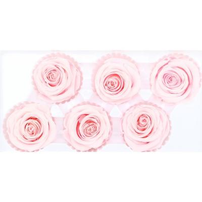 China Home Decoration Preserved Rose Heads For Arrangements And Decorations for sale