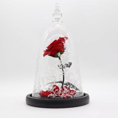 China Dried Beauty And The Beast Red Rose In Glass Gift Suitable For Decor Purposes for sale