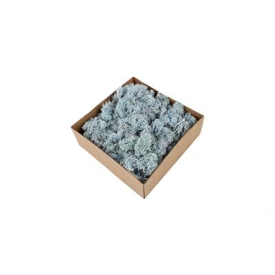 China Stabilized Valentine Gift Preserved Natural Moss In Box for sale