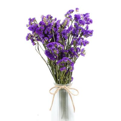 China Brightly Colored Purple Limonium Flower Forget Me Not For Decoration for sale