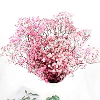 China Multicolor Beautiful Dried Flowers Baby'S Breath Wedding Table Decorations for sale