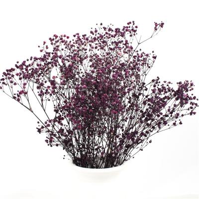 China Soft Color Preserved Dried Baby's Breath Beautiful For New Year Valentine Gift for sale