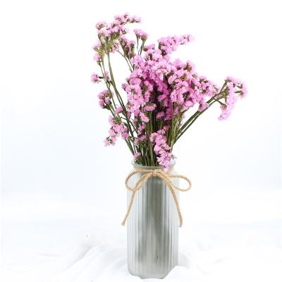 China Fashion Style Beautiful Dried Flowers Statice Limonium Forget Me Not for sale