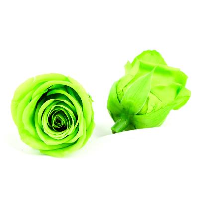 China A Grade 5-6cm Preserved Flower Heads For Floral Design for sale