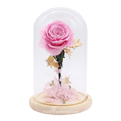 China Home Decor Colorful Preserved Rose In A Glass Dome 7cm-8cm for sale