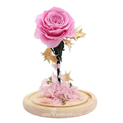 China 4cm-5CM Preserved Rose Glass Dome For Thanksgiving Day for sale