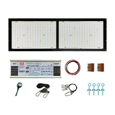 China Factory Grow Lighting Real Power Meanwell 240W V4 SMD 3030 Samsung LM301H+5730 660nm LG 395nm Oslon 730nm IR 3500K UV Panel LED Grow Lights for sale