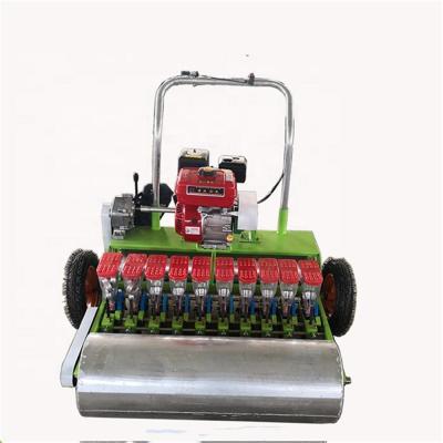 China Precision vegetable seeder sesame grain seeder / agricultural gasoline engine manual for sale