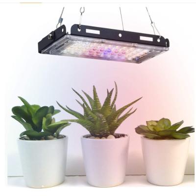 China Seed Starting 2021 Led Grow Light For Small Hobbyist Home Grow Light Grow Light For Indoor Plants For Amazon Market for sale