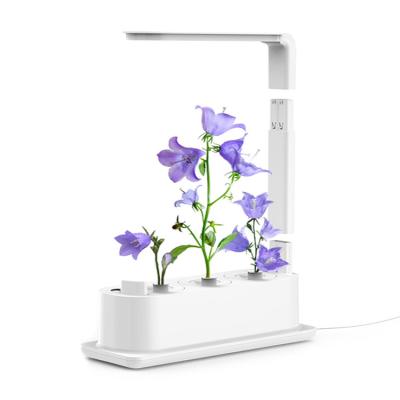 China Smart Planting Lightweight Indoor Automatic Green Growing Hydroponic Vertical Mini Gardening Equipment DIY Supplies Smart Garden Pot In Home for sale