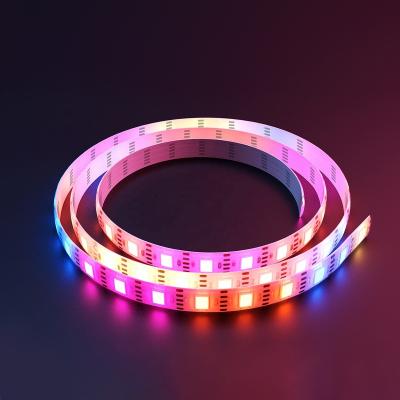 China LANDSCAPE 2020 Vacation 100ft Stretchable Smart Music Led Light Strips 100 Feet for sale