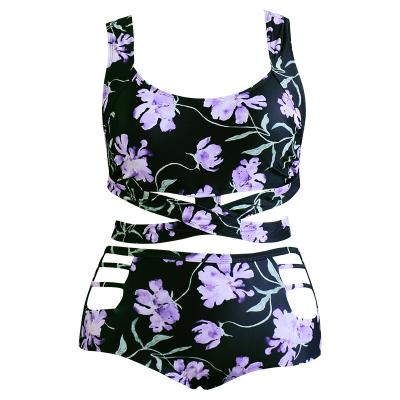 China Summer Antibacterial Hot Sale Cherry Colors Women's Plus Size Women's Floral Bikini for sale