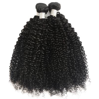 China Wholesale Unprocessed Natural Kinky Curly Hair Brazilian Curly Hair Weaves Virgin Brazilian Hair Kinky Curly Hair Extensions for sale