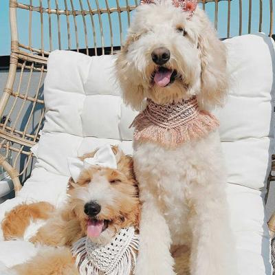 China 2021 Viable Most Popular Custom Design Dog Bandana Boho Equipment Macrame Dog Collar And Leash for sale