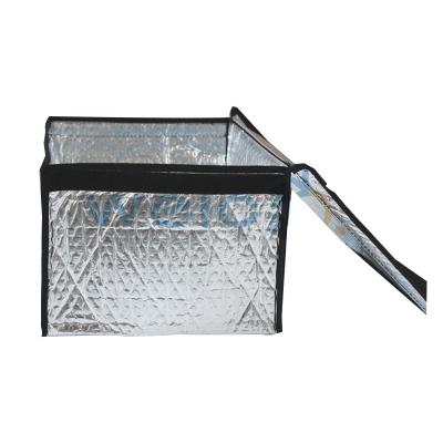 China Disposable Thermal Insulated Food Cooler Bag For Frozen Food for sale