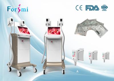 China 15 inch touch color screen Cryolipolysis Slimming Machine FMC-I Fat Freezing Machine for sale