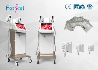 China Fat cell freezing triple cooling system Cryolipolysis Slimming Machine FMC-I Fat Freezing Machine for sale