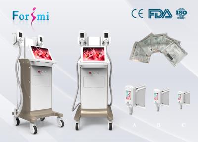 China cellulite treatment devices 3.5 inch Cryolipolysis Slimming Machine FMC-I Fat Freezing Machine for sale