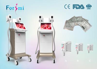 China anti cellulite machine 3.5 inch Cryolipolysis Slimming Machine FMC-I Fat Freezing Machine for sale