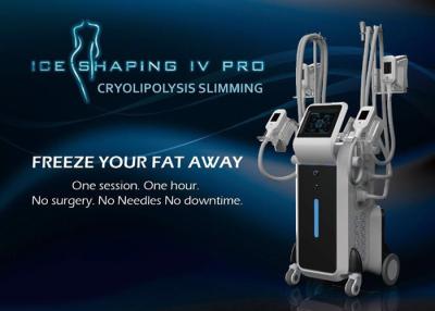 China CE TGA certification high efficient fat removal body shaping cryolipolysis apparatus for clinic use for sale