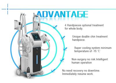 China manufacturer best price professional strong cooling 4 head cryolipolysis machine with ISO for sale