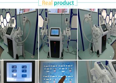 China 12 inch touch color screen -15~5 celcius ice shaping cryolipolysis fat freeze slimming machine for sale