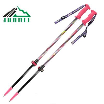 China Outdoor Outdoor Sports Kids Use Ski Poles 2 Sections PP Handle Cross Country Trekking Pole Stick Alpine Ultralight Ski Poles For Toddlers for sale