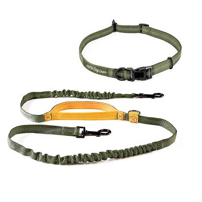 China BREAKOUT Improve Dog Habits Military Green Pet Bungee Shock Absorbing Thoughtful Leash For Your Whole Family for sale