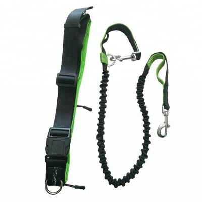 China Running Jogging Pet Training Customized DETACHED Lead Nylon Webbing Dog Lead Hands Free Bungee Leash for sale