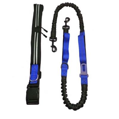 China DETACHED Drop Shipping Nylon Reflective Pet Training Double Bungee Dog Leash With Restraint Belt for sale