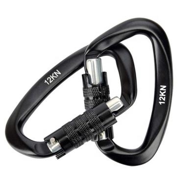 China Water Treatment Carabiner D Shape CE Certified Aluminum Screw Self-Locking Climbing Door Carabiner for sale