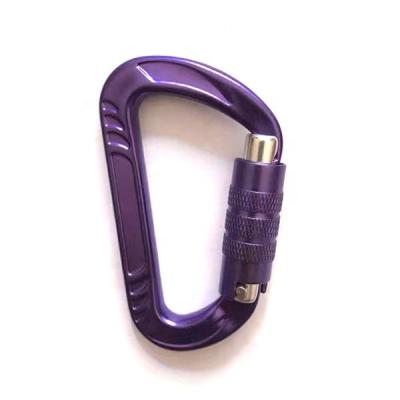 China Water Treatment Lightweight Hammock D Shape Aluminum Backpack Carabiner for sale